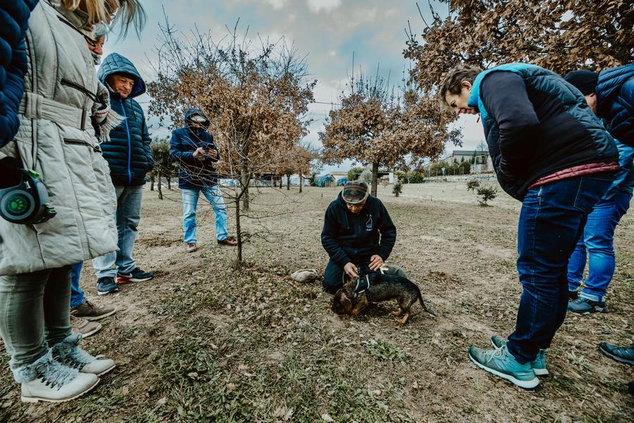 Saveurs de truffes et vins d'Ardèche avec le Domaine de Pécoulas