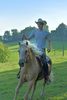 Centre d'équitation western Ⓒ Joel Damase-Vichy communauté
