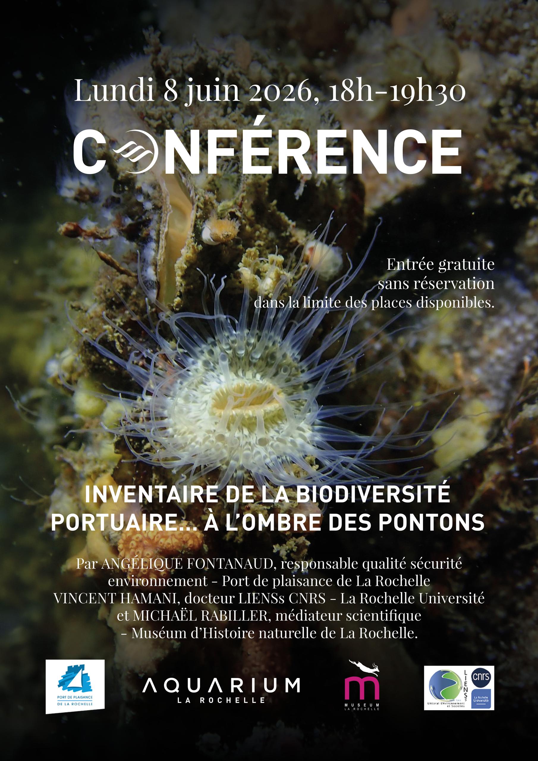 Conférence - Inventaire sur la biodiversité portuaire… à l'ombre des pontons