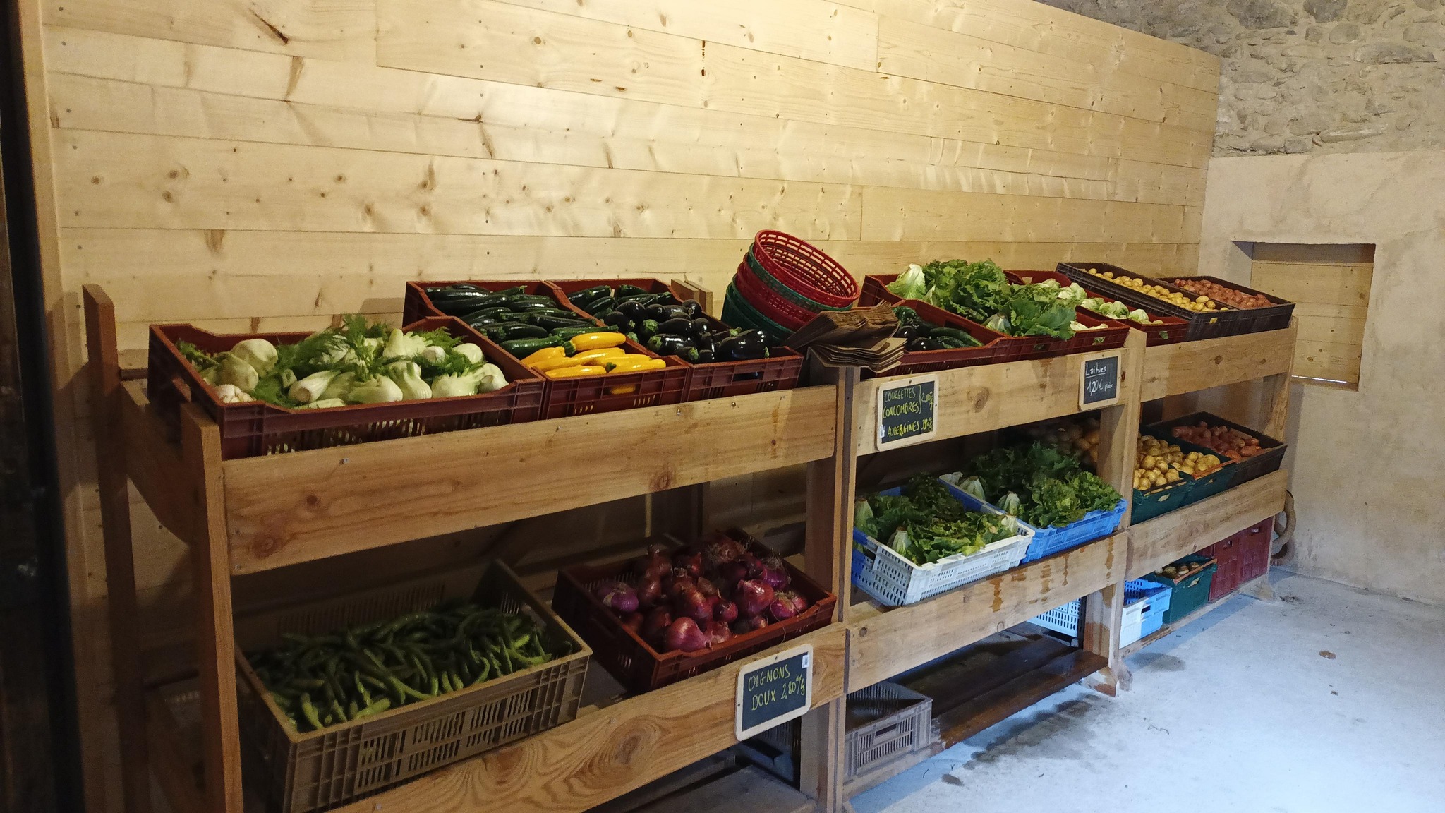 488903024_674456332192929_7286194635798630286_n