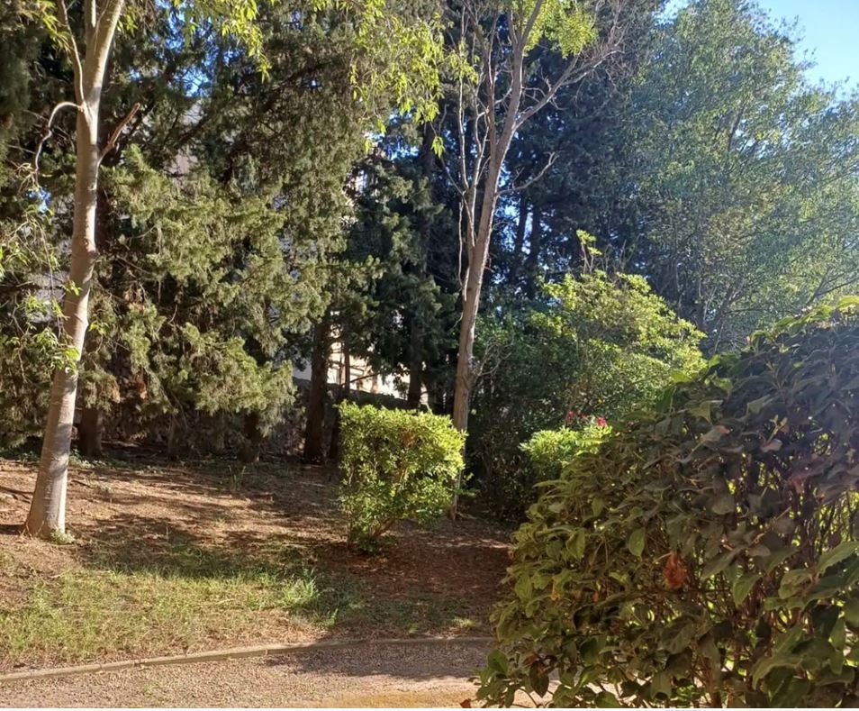 La Cascade - photo 2