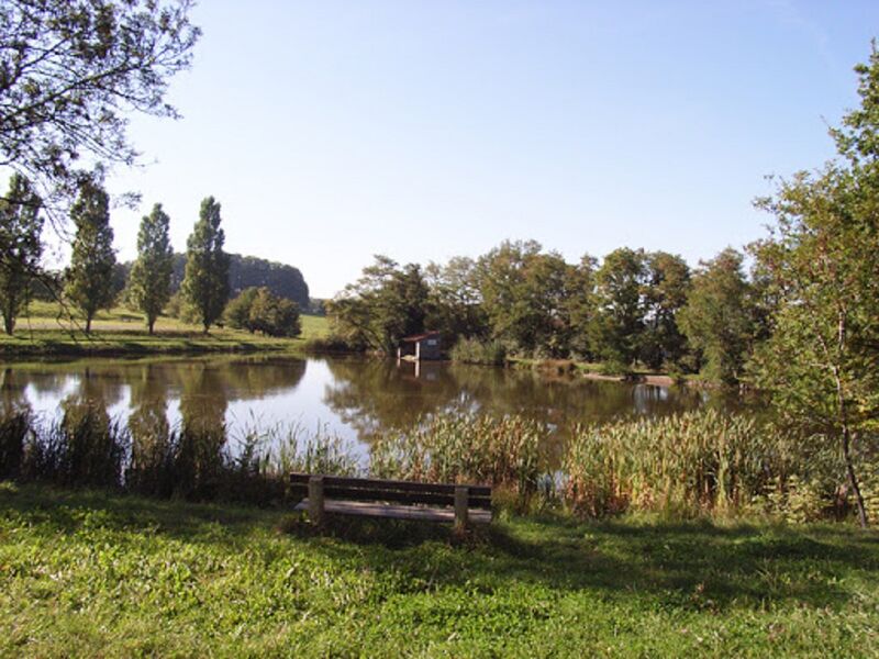 Etang Colcombet