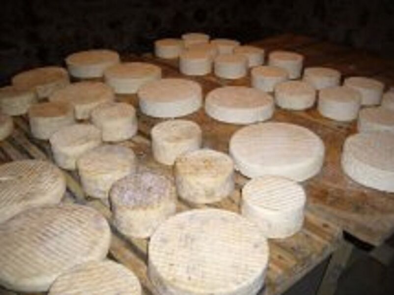 Ferme de Chateaubrun