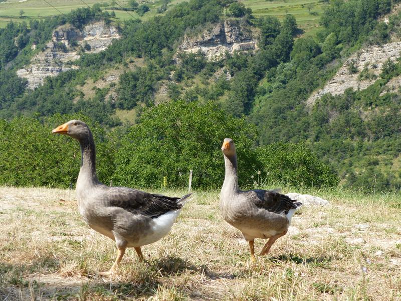 Ferme pédagogique La Bicoque