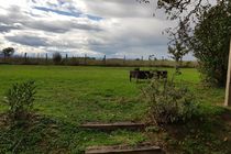 Vue sur la campagne