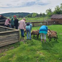 Mini-ferme & mini-kermesse - Miellerie la Grange aux Abeilles_Estivareilles