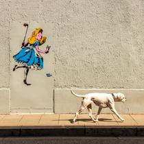 Le Street art engagé_Grenoble