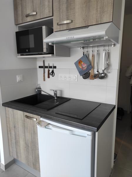 Coin kitchenette avec petit frigidaire, hotte, micro-ondes, plaques et évier.