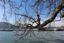 Obake ! - Festival les Folles Journées du Clown_Allevard