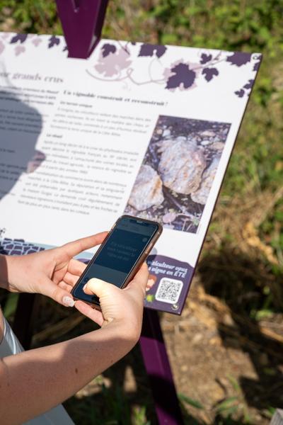 Le sentier des Grand(e)s Cru(e)s_Tupin-et-Semons