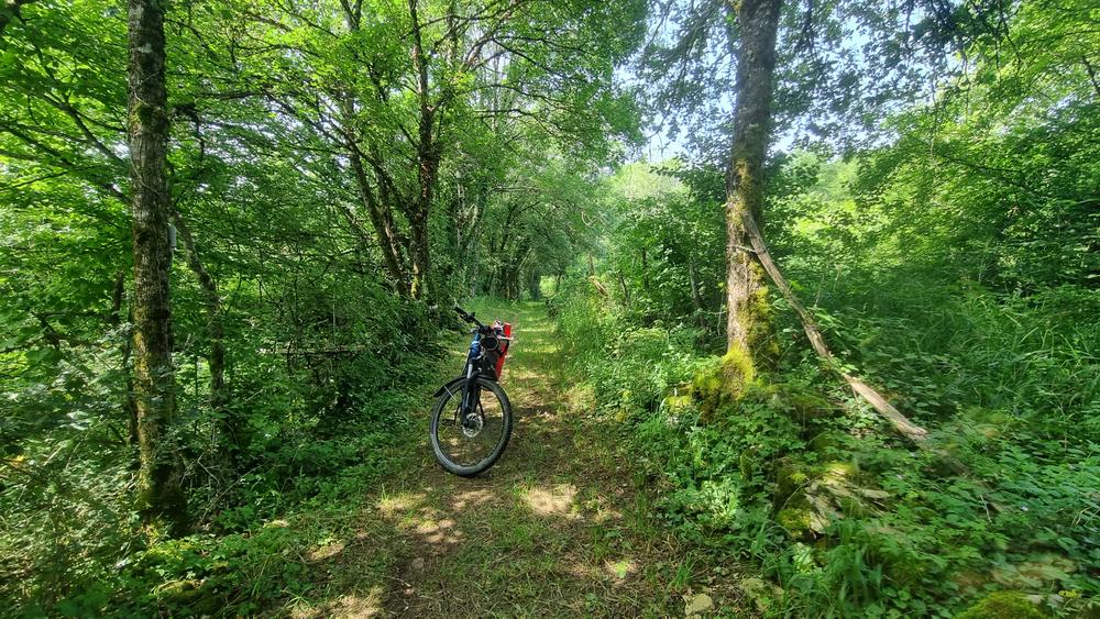 VTTAE n°10 Coligny Plateau de Vergongeat