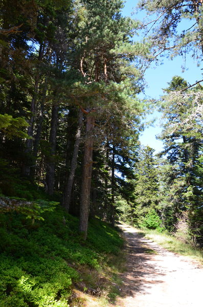 Randonnée proximité Mont Chaix