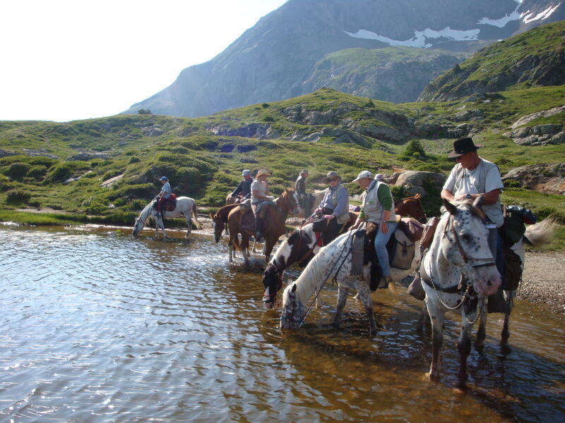 Découverte des alpages du sud-Isère à cheval