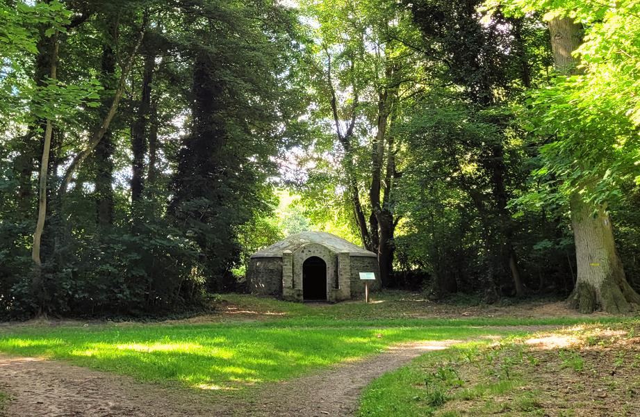 Forêt de Bellejame 