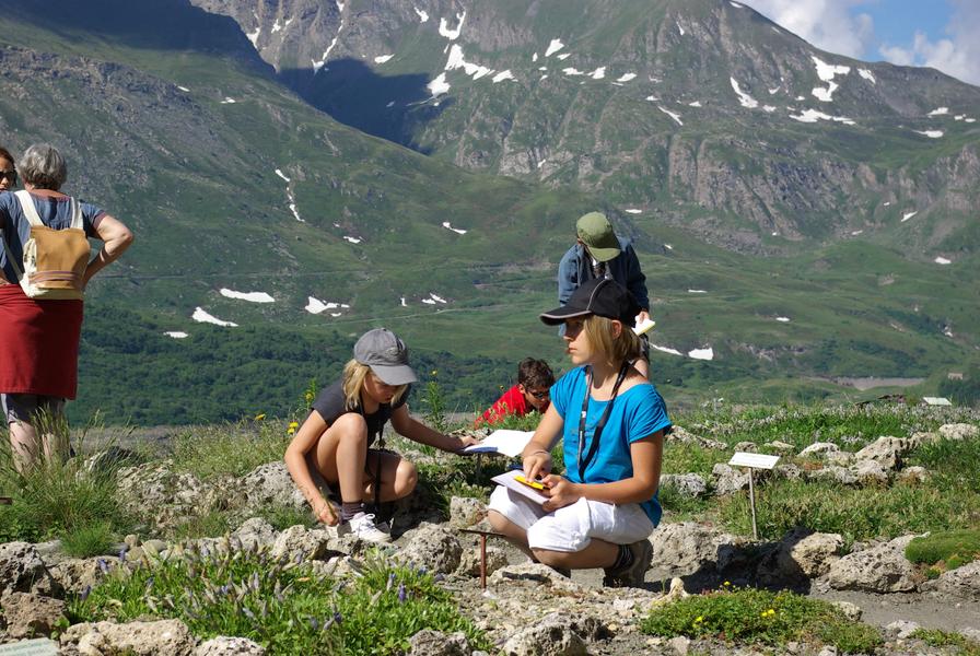 Jardin alpin du Mont-Cenis