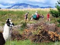 La Païs'Âne - © La Païs'Âne