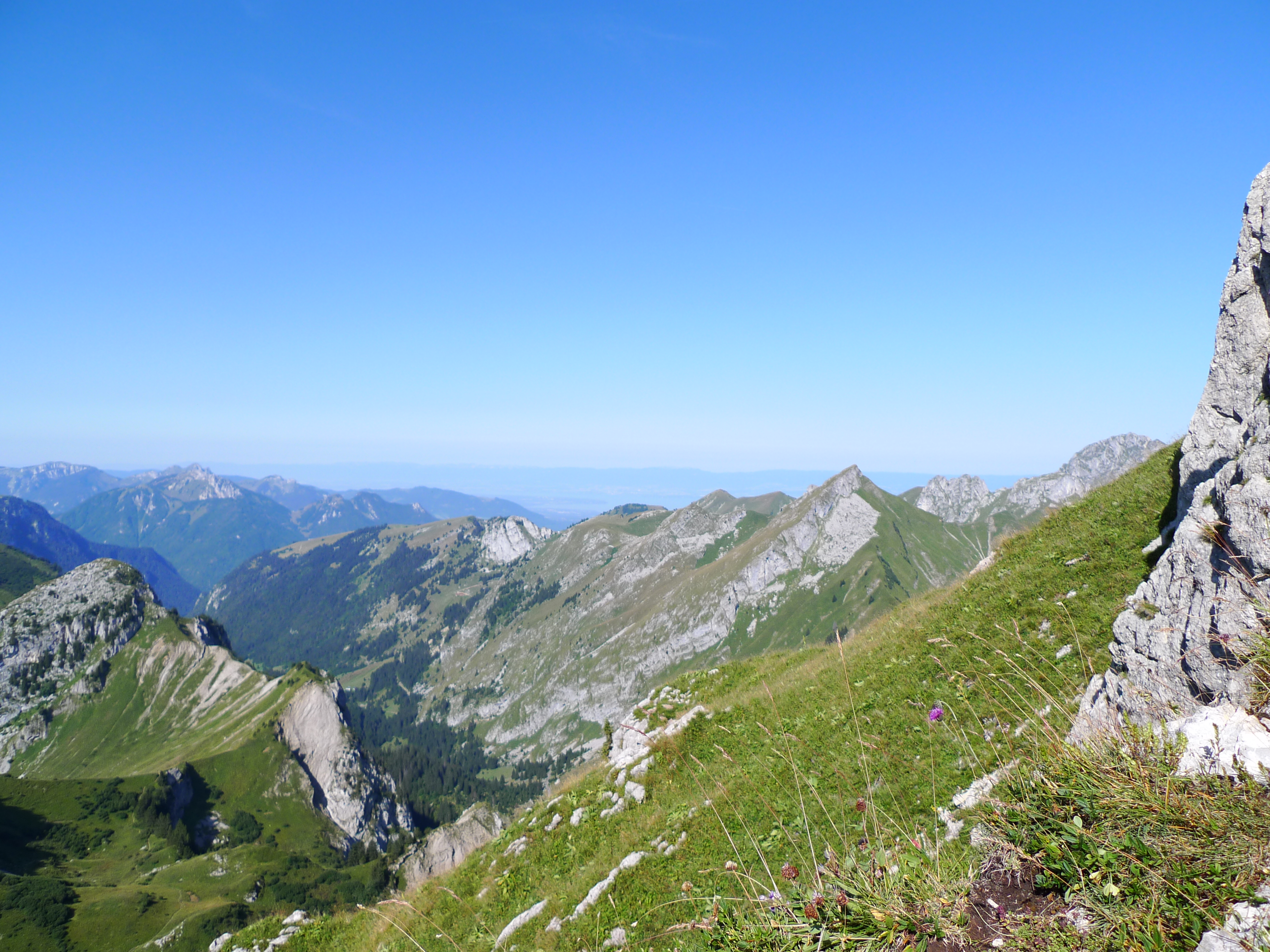 Visites et découvertes