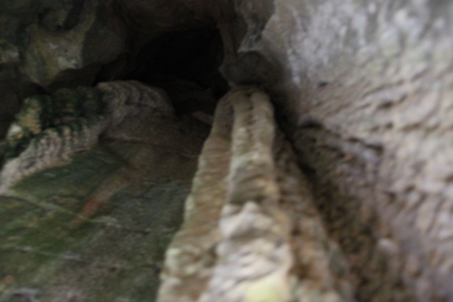 Groote de La Roche - Salavre