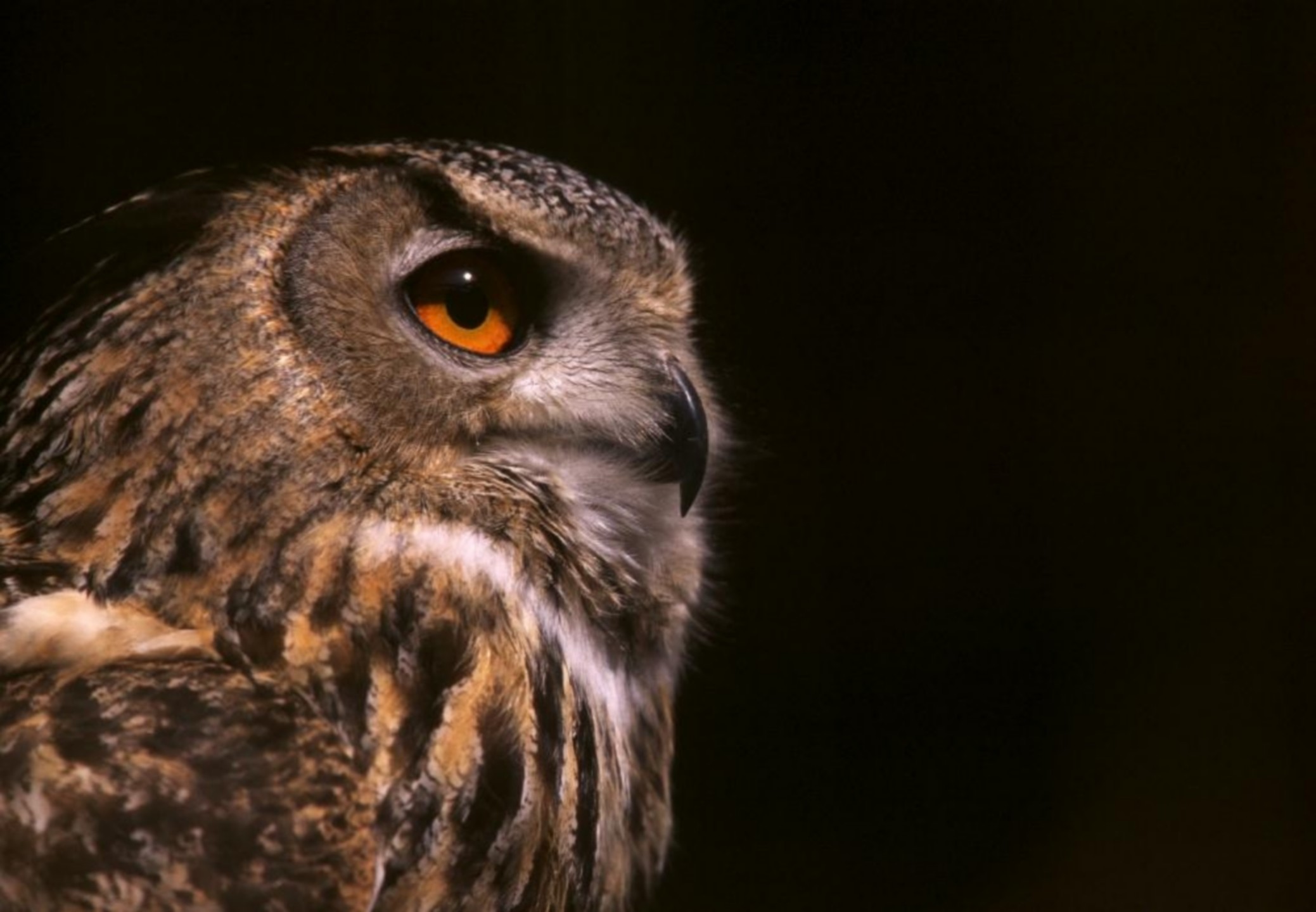 Bureau des Guides Naturalistes — photo 3
