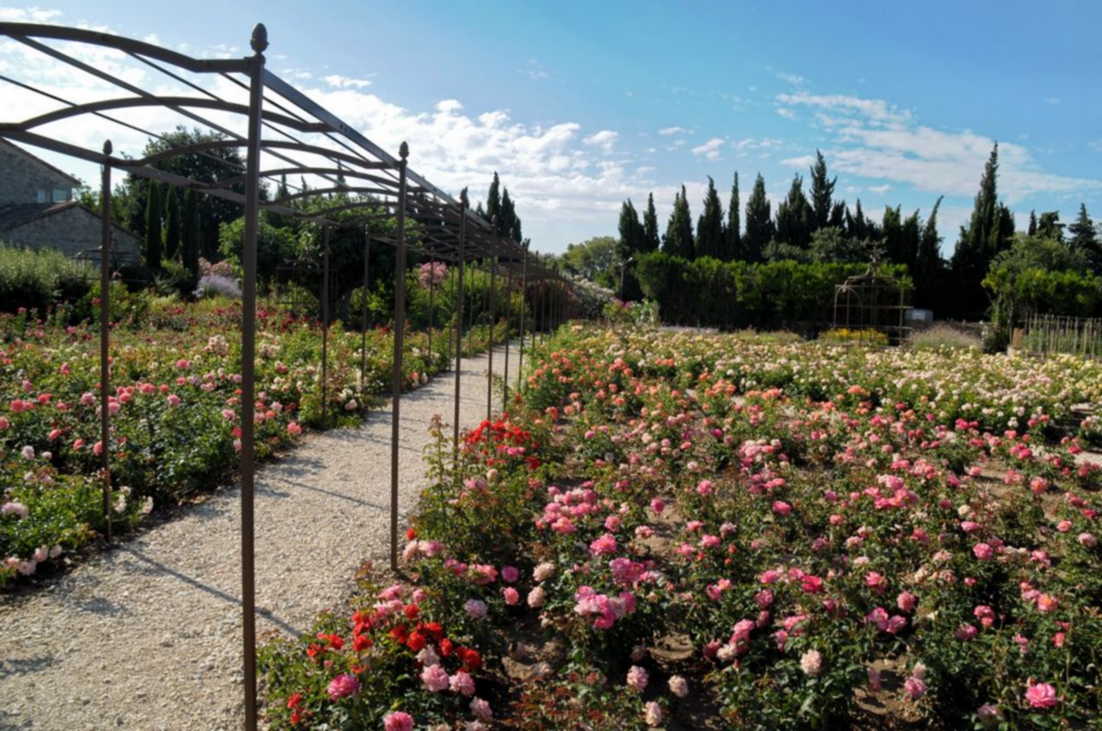 Le Jardin d'Alcinoos