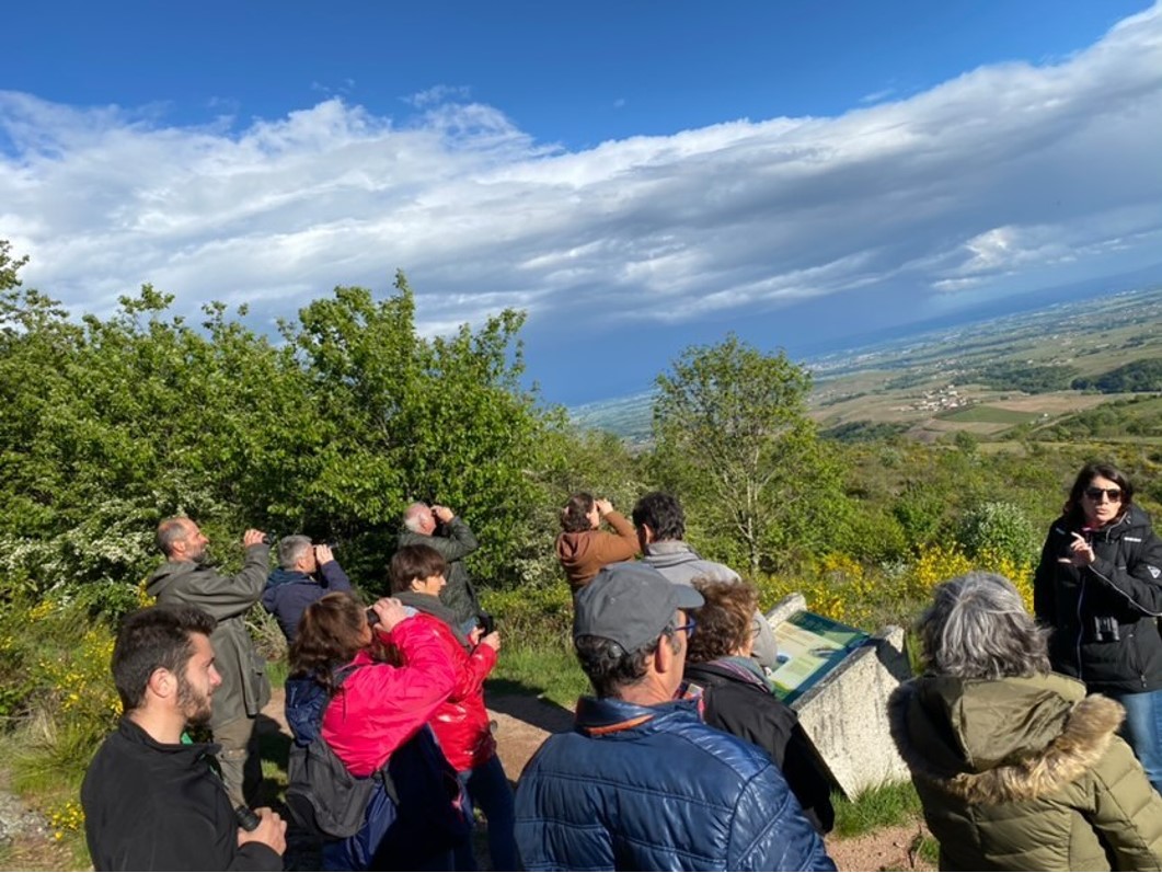 Les cinq sens du granite
