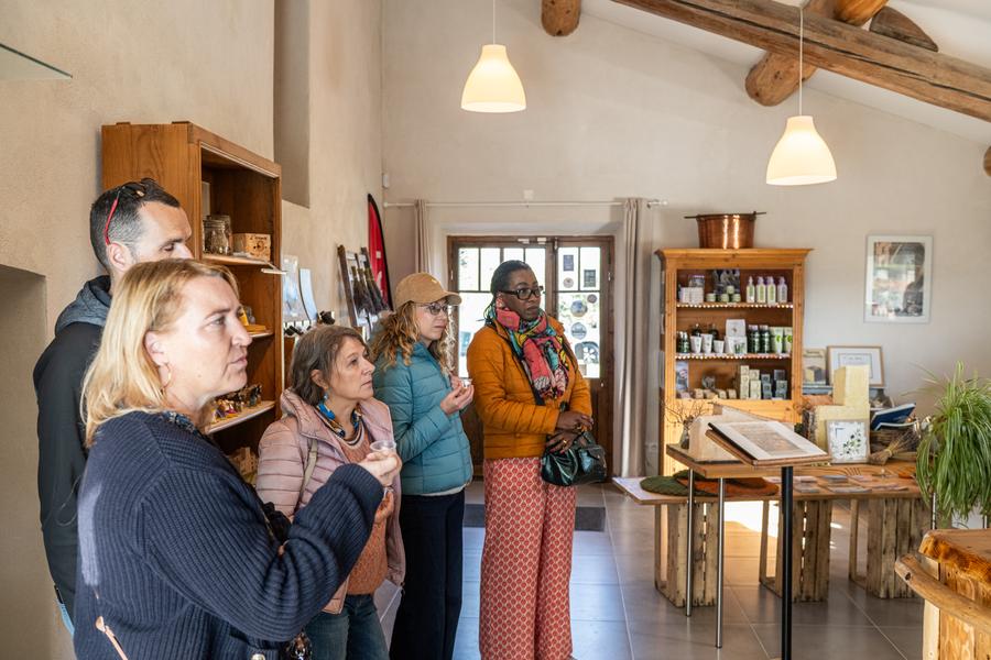 Dégustation d'huile d'olive à la boutique 