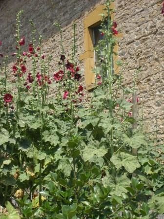 Maison du propriétaire