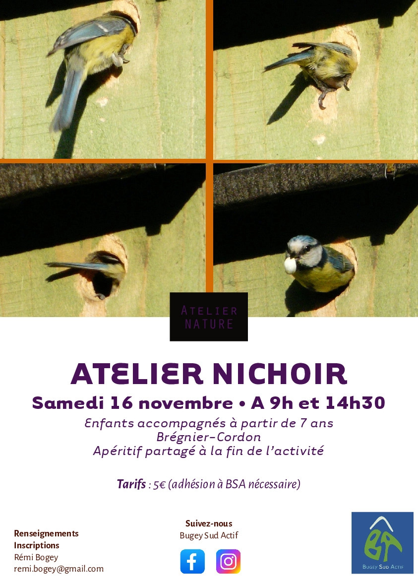 Atelier création d'un nichoir à oiseaux_Brégnier-Cordon