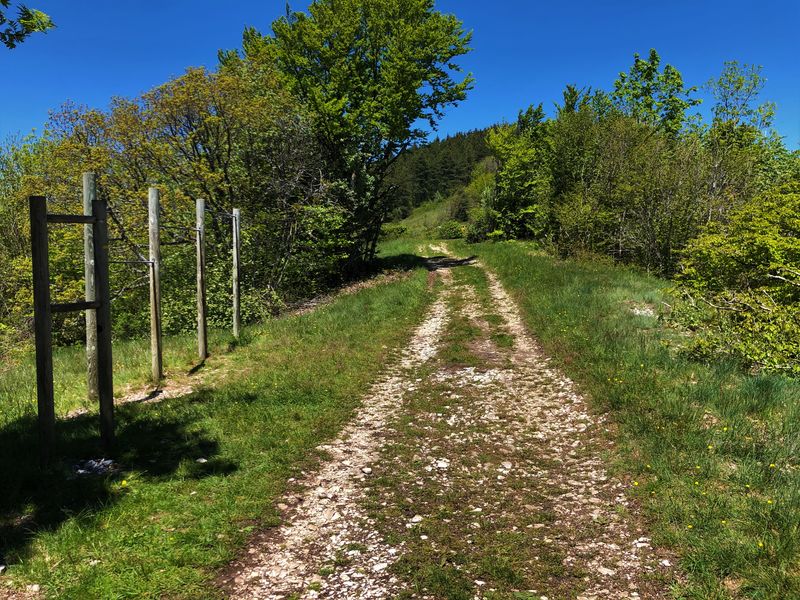 Randonnée pédestre : La croix d'Innimond