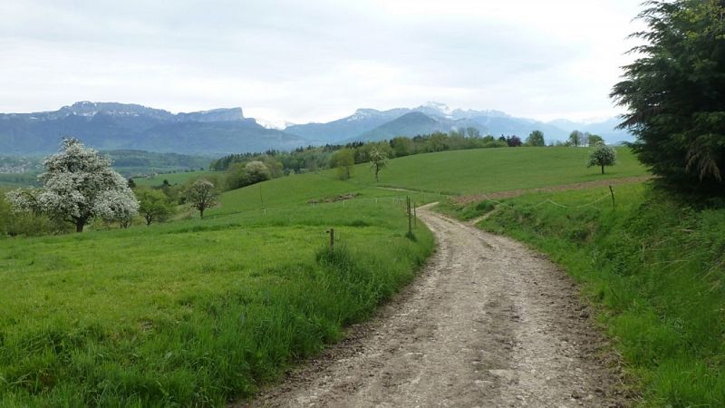 Point de vue - Hameau de la Mandallaz