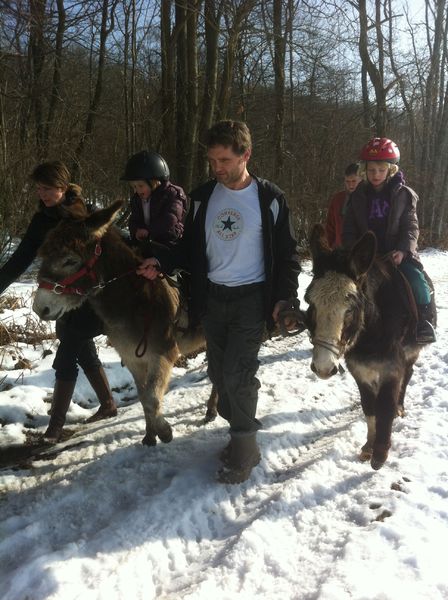 Balades à dos d'ânes avec les ânes des terres froides