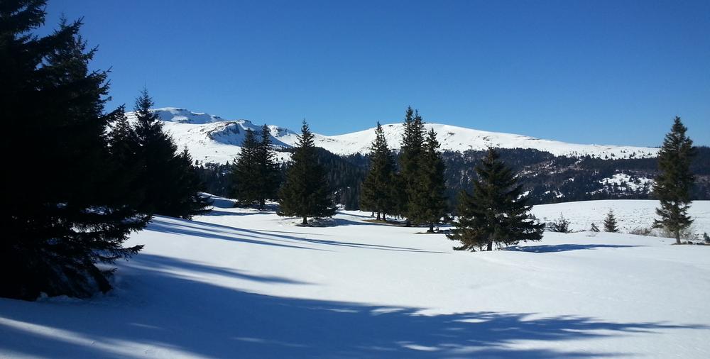 Sortie Raquette Découverte au Lioran avec Gilles Guilloteau