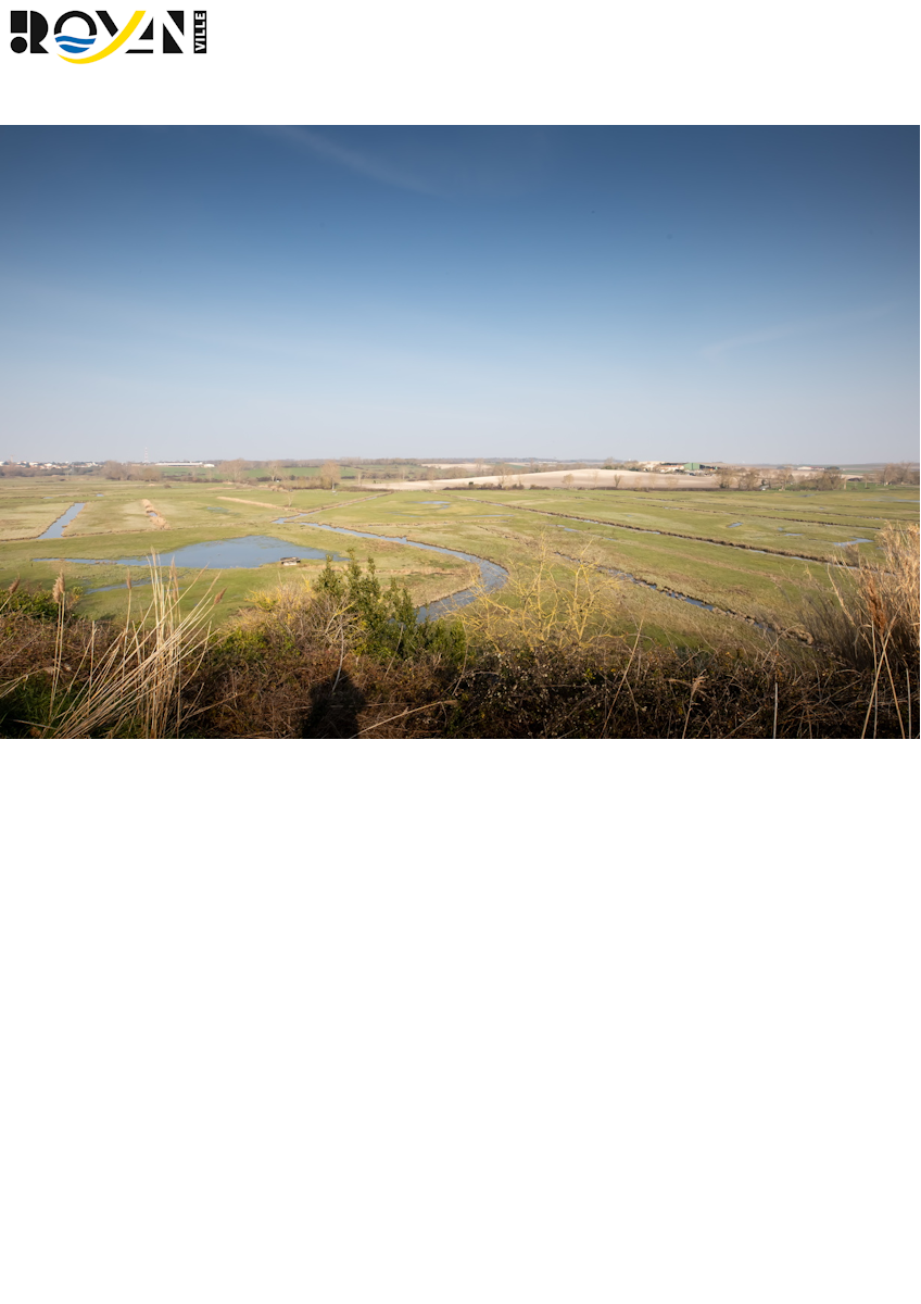 Lecture de paysage sur le marais de Pousseau