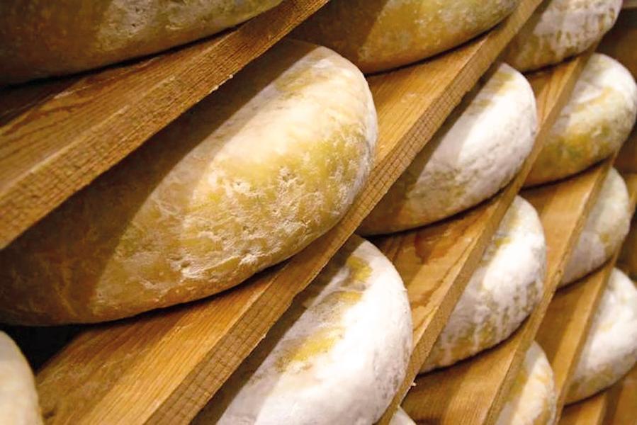 Excursion : Prenez de la hauteur dans le Pays de Gex_Chézery-Forens