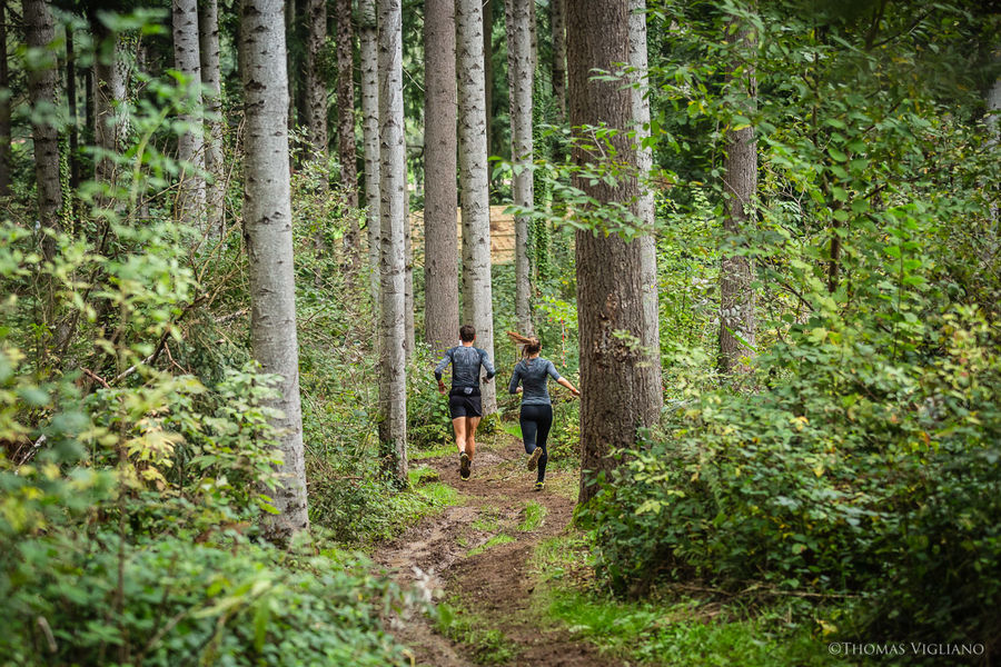 Trail