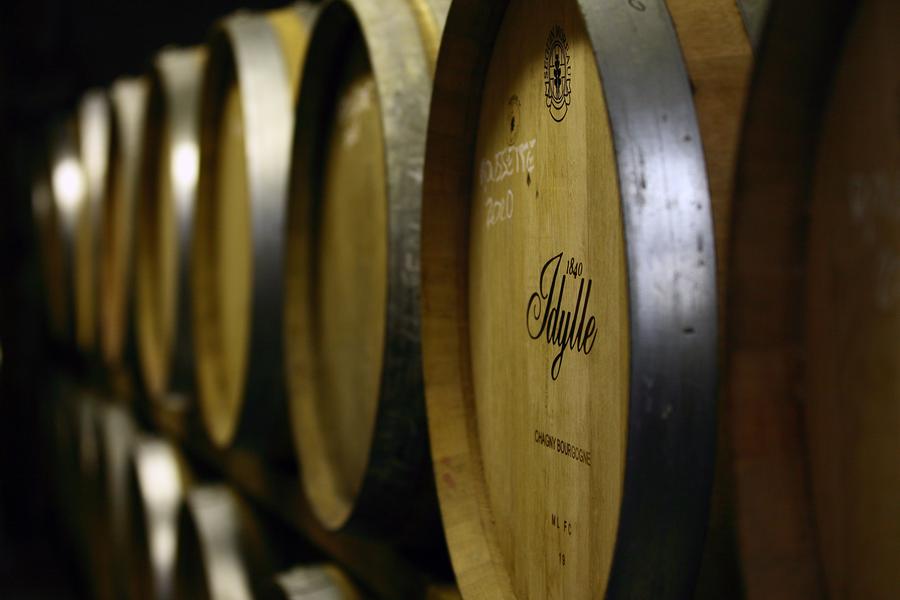 Apéro'vignes au Domaine de l'Idylle_Cruet