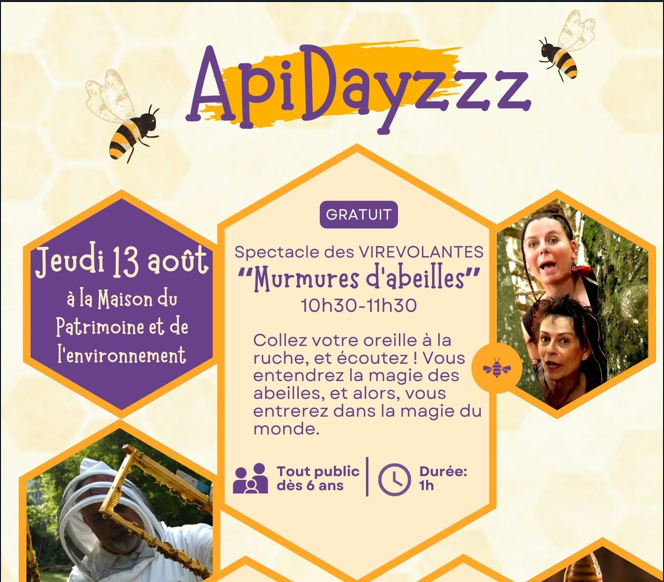 ApiDayzzz