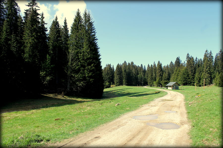 Piste VTT FFC bleue - La Féclaz
