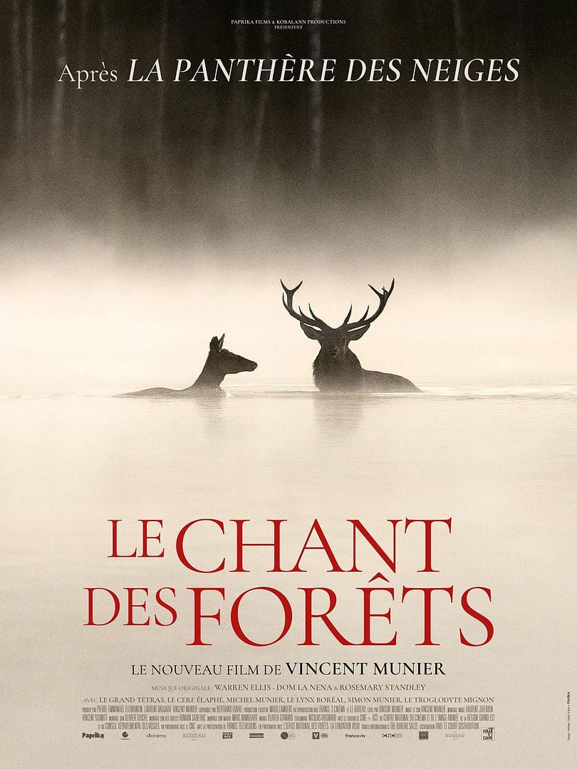 Affiche du film