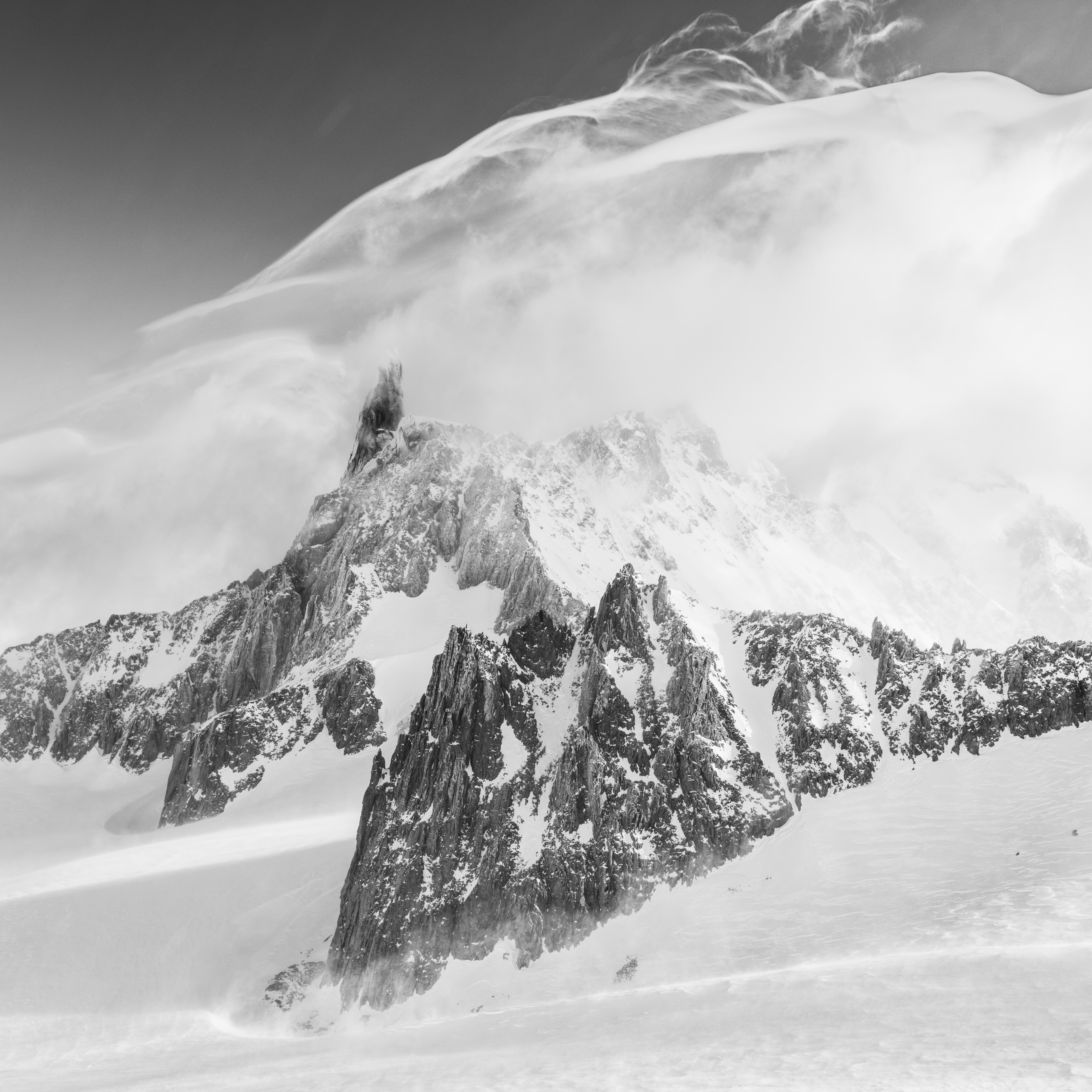 Yannick Ardouin expose au Hameau Albert 1er