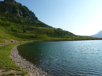 Le lac de la cour