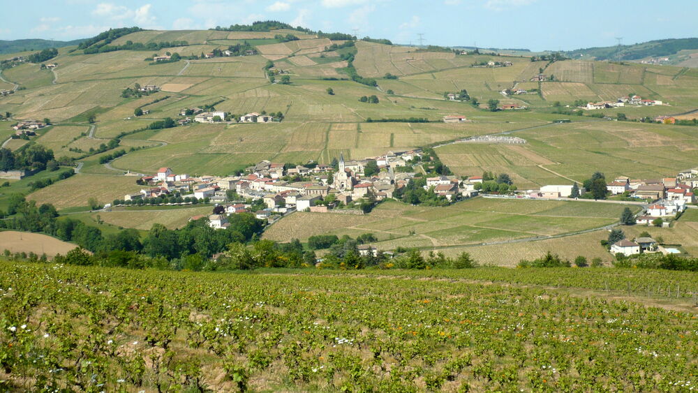 Commune de Juliénas