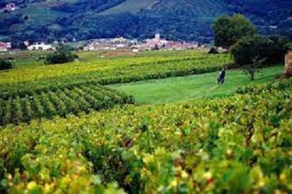 Village de St Amour Bellevue