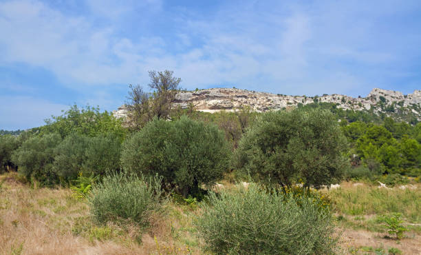 De la Crau aux Alpilles