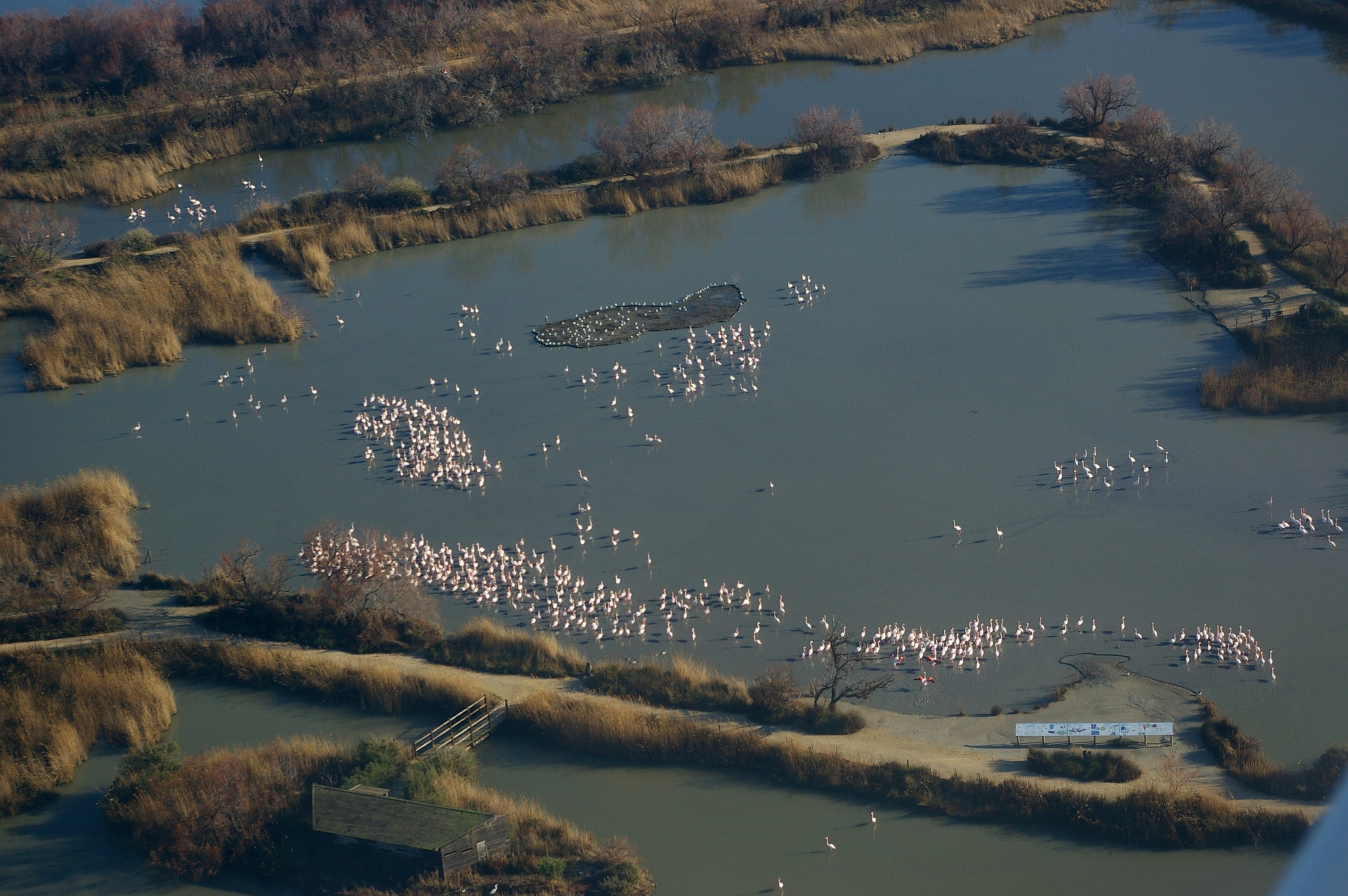 Parc ornithologique de Pont de Gau