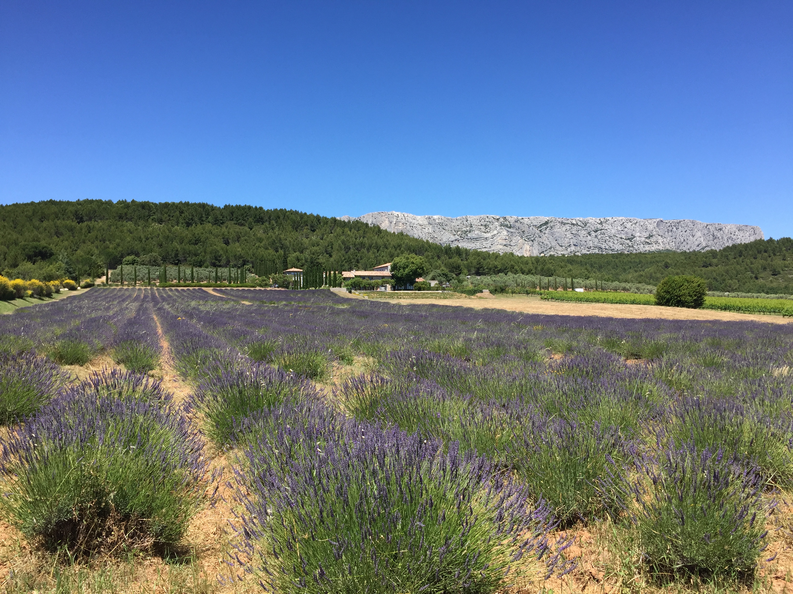 Domaine des Masques — photo 3