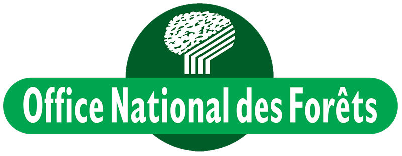 Ufficio nazionale delle foreste