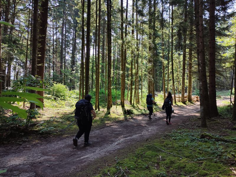 Randonnée pédestre du Mont Tournier