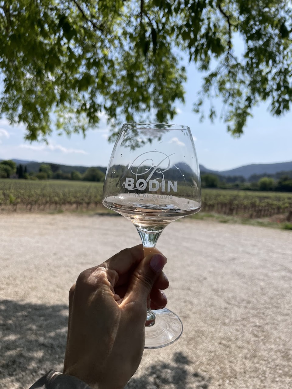 Domaine Cassis Bodin, Cassis - photo 13