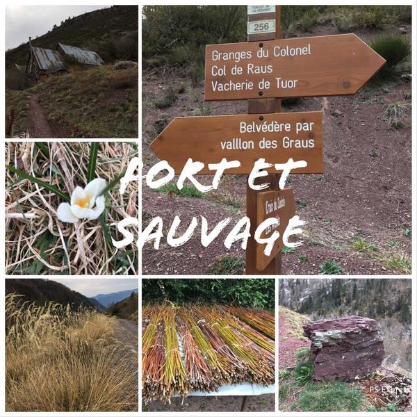 Randonnez, explorez les granges du colonel, les terres rouges....